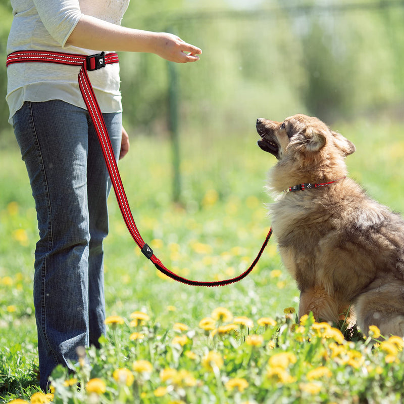 KRUZ PET KZV2072 6 FT Bungee Leash – Wearable Jogging Leash – Over the Shoulder and Waist Hands-Free Leash – Strong Reflective Heavy Duty Safety Leash with Locking Carabiner Clip – Easy Snap Function Gray Large: 1” X 6FT - PawsPlanet Australia