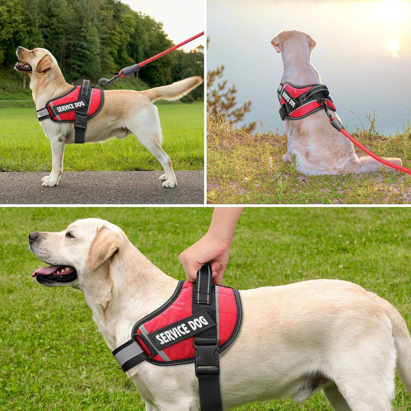 barkOufitters Service Dog Vest Harness and 5 Sizes (Red, S, 23" - 28" Girth)