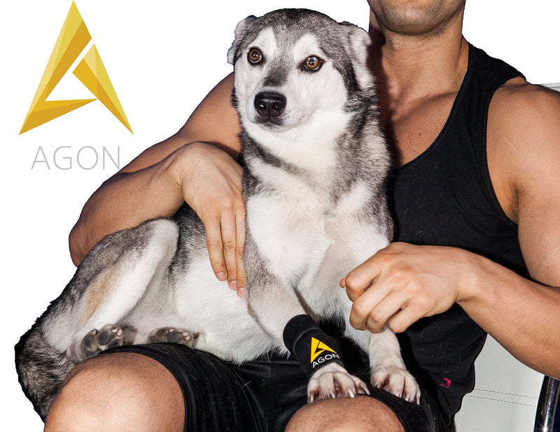 Agon® Dog Canine Front Leg Brace Paw Compression Wraps with Protects Wounds Brace Heals and Prevents Injuries and Sprains Helps with Loss of Stability Caused by Arthritis (Large/X-Large) Large/X-Large - PawsPlanet Australia