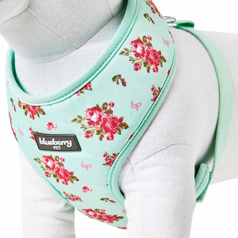 Blueberry Pet Floral Dog Vest Harness, Turquoise, X-Small | No Pull, Lightweight & Comfy Fit for Puppies and Small Breeds | Award-Winning Design for Girl Dogs - PawsPlanet Australia