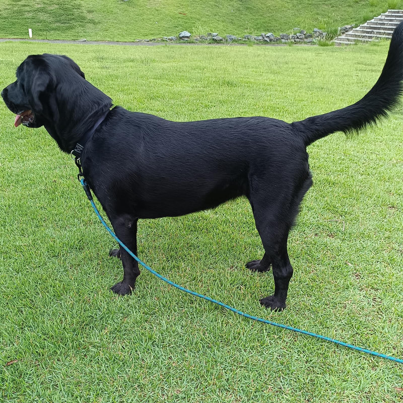 BTINESFUL Long Dog Leash, 10/15/20/30/50FT Dog Training Leash with Soft Handle, Reflective Heavy Duty Rope Dog Lead for Medium Large Dogs Outside Play, Camping (3/8" x 20ft, Blue) 20ft x 3/8inch - PawsPlanet Australia