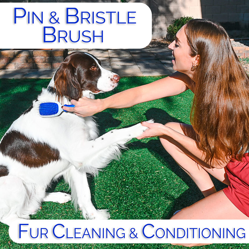 6 In 1 Premium Dog Brush Set - Dog Grooming Brushes - Ball Pin & Bristle Brush, Curved Blade Dematting Comb, Slicker Brush, Deshedding Edge Comb, Detangling Pet Comb - PawsPlanet Australia