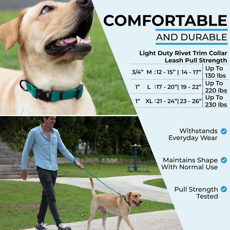 Light Duty Rivet Biothane Dog Collar - Teal, Waterproof, Odor Proof, Lightweight, Made in the USA, Curved Quick Release Plastic Buckle, Large 17-20" Neck W 1" x L 17-20" - PawsPlanet Australia