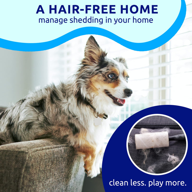 Pat Your Pet Deshedding Dog Brush For Shedding – Cat Brushes For Indoor Cats, Double-Sided Cat Brush Deshedding & Grooming Tool For Long Haired And Short Haired Dogs, Skin-Friendly Bright Blue - PawsPlanet Australia