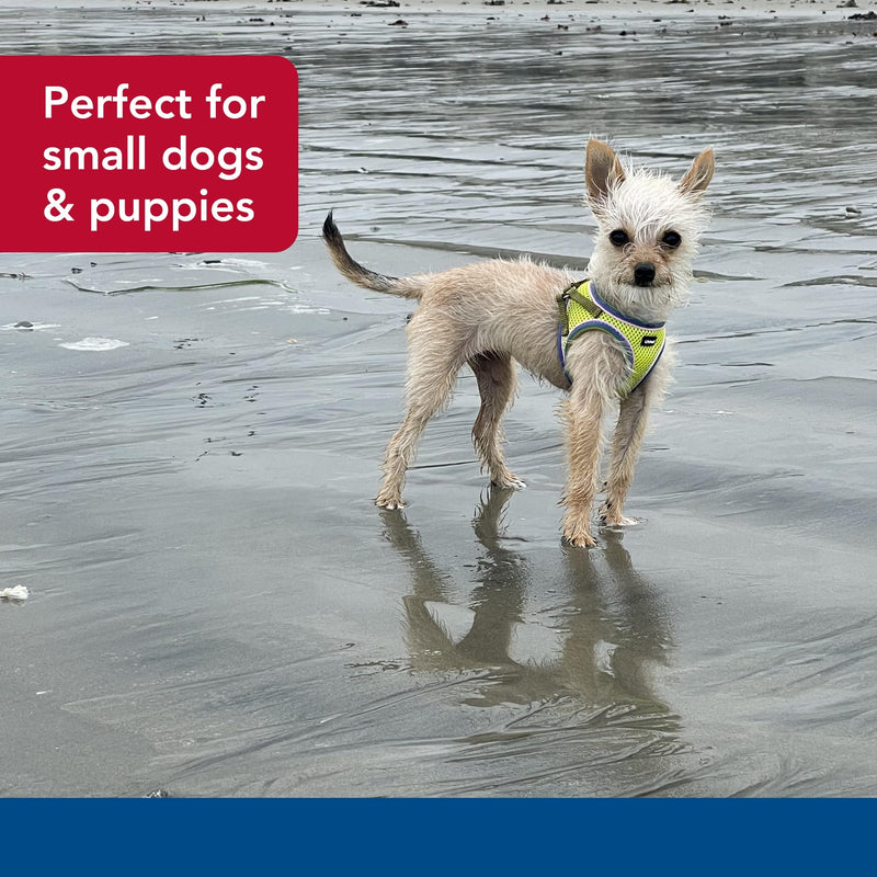 Coastal Pet Li'l Pals Comfort Mesh Dog Harness - No-Pull Step-in Dog Harness for Small Dogs & Puppies - Dog Cooling Vest - Lime - 3/8" x 10"-12" - PawsPlanet Australia