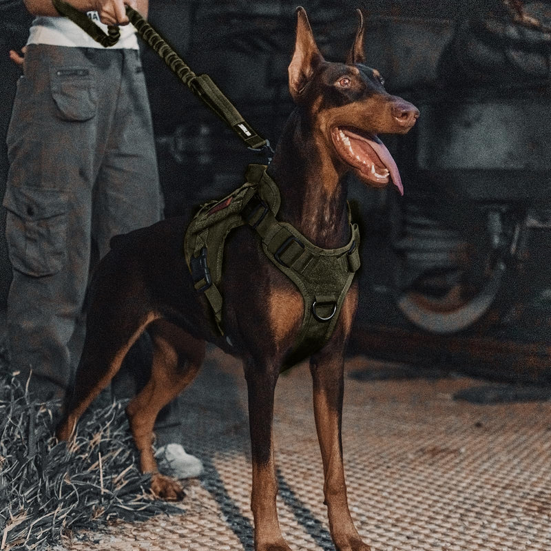 Tactical Dog Training Bungee Leash with 2 Control Handle Quick Release Nylon Leads Rope(Ranger Green) - PawsPlanet Australia