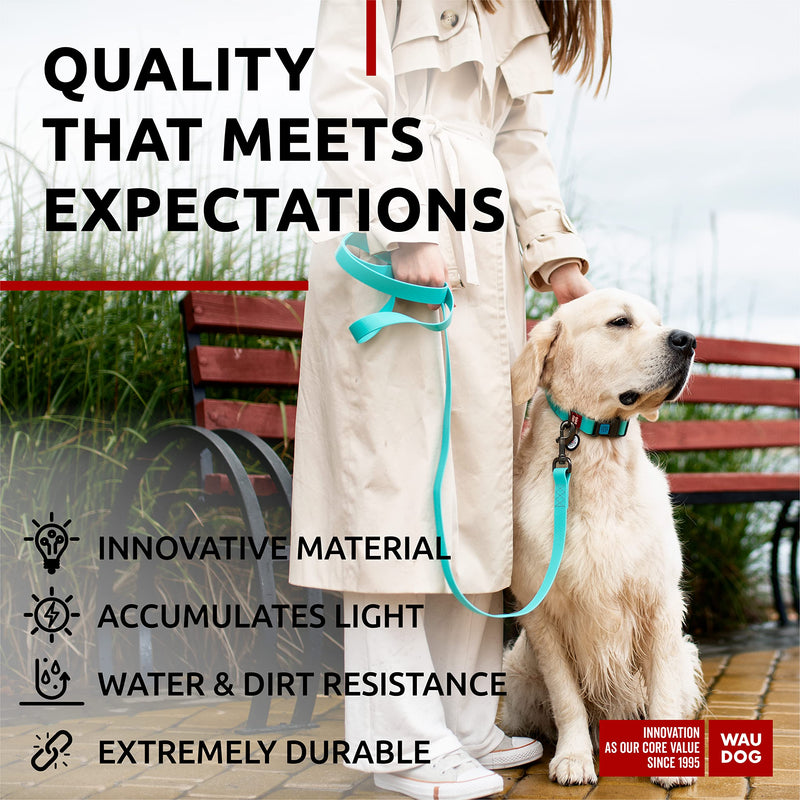 Waterproof Dog Leash - Glow Anti-Slip Dog Leash for Large Small and Medium Breeds - Heavy Duty - Water- & Dirt-Resistant - Boy & Girl 4 Ft x 1" - PawsPlanet Australia