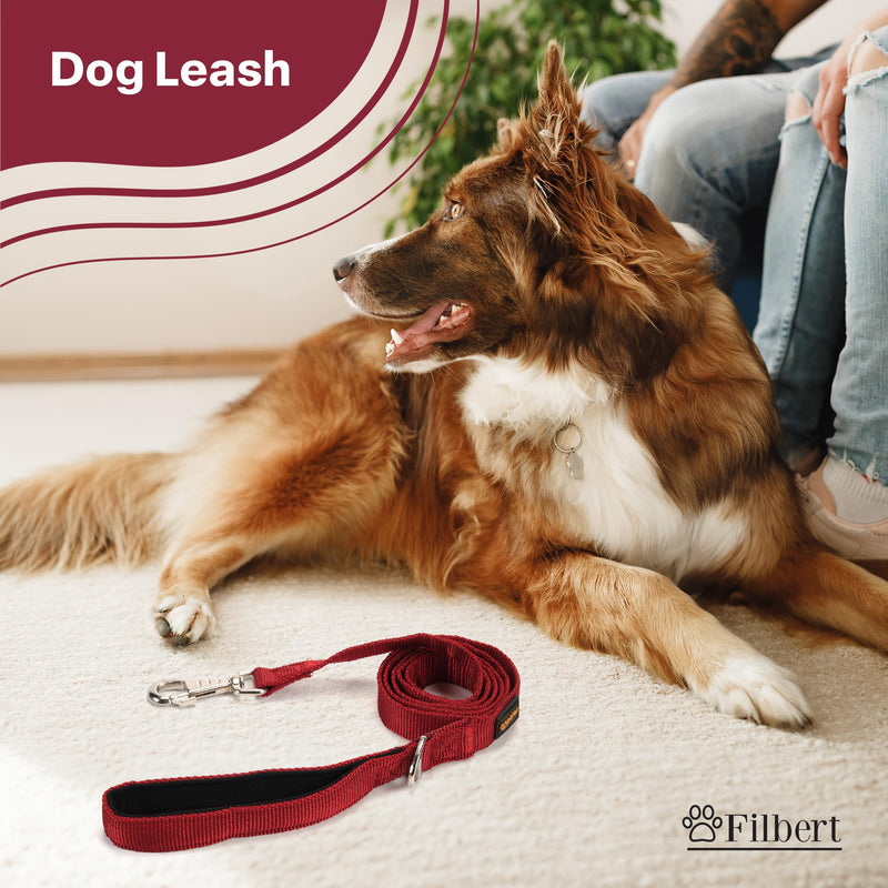 Filbert Nylon Dog Leash, Heavy Duty Leash, for Medium and Small Dogs, 3/4 inch X 4.6ft Strong and Durable, Traction Rope, Orange Neon Orange - PawsPlanet Australia