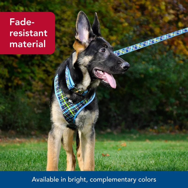 Coastal Pet Ribbon Dog Leash - Contemporary Stylish Look - Durable Fade-Resistant Nylon Material - Perfect for Dogs Brown Paws and Bones, 5/8" x 06' s - PawsPlanet Australia