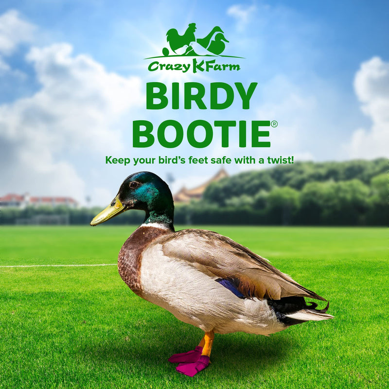 Duck Shoes for Injured Feet – Protective Neoprene Footwear for Ducks, Protective Shoes for Birds with Injured feet, Bumblefoot Relief - Large, 4.5” Max. Inside Width - Pink Large Waterfowl DUCK AND GOOSE SHOES - PawsPlanet Australia