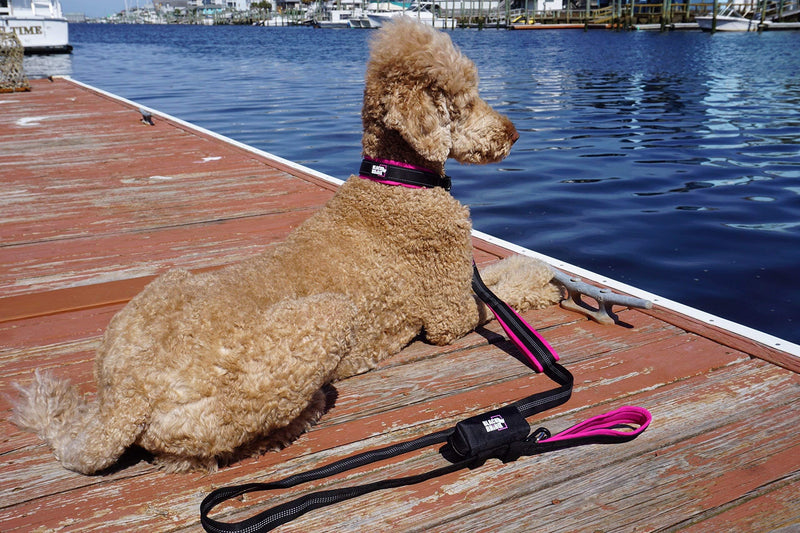 Black Rhino Dog Collars for Medium Dogs - Adjustable Reflective Heavy Duty Dog Collar with Ultra-Soft Neoprene Padding - Weatherproof, Durable, and Comfortable - Ideal for Active Dogs - Pink and Black Pink/Black - PawsPlanet Australia