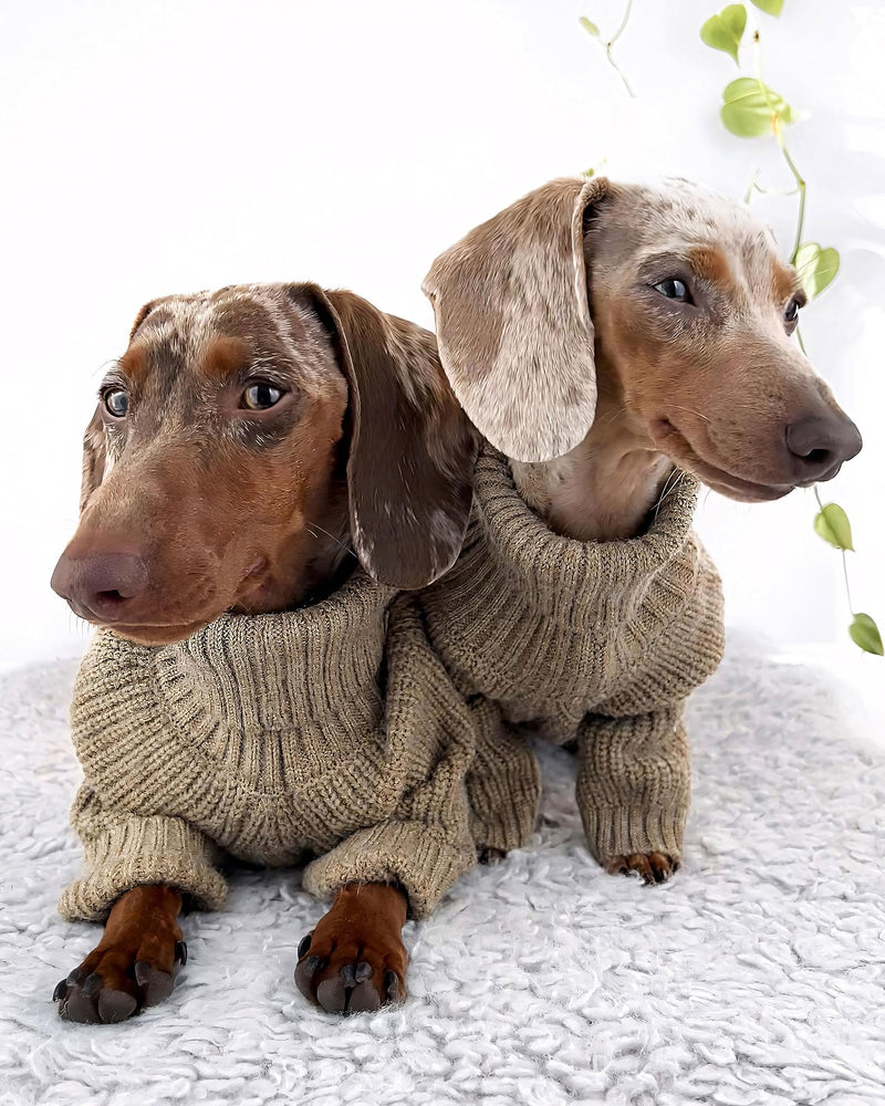 Fitwarm Thermal Knitted Dog Sweater Doggy Winter Coat Pet Clothes Doggie Turtleneck Jacket Puppy Outfits Cat Sweatsuit Sage Green Medium - PawsPlanet Australia