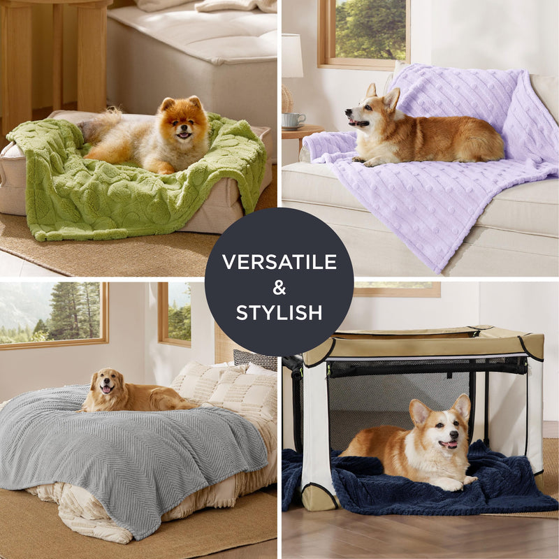 Bedsure Dog Blanket for Medium Dogs Washable - Fluffy Fuzzy Puppy Cat Blanket with Premium 300GSM Coral Fleece Soft for Pet Kitten Doggy, Green, 30x40IN Lint Heart M(30x40") - PawsPlanet Australia