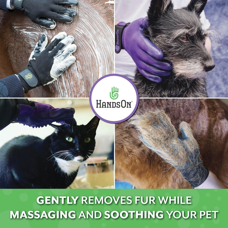 H HANDSON Pet Grooming Gloves - Patented #1 Ranked, Award Winning Shedding, Bathing, & Hair Remover Gloves - Gentle Brush for Cats, Dogs, and Horses (Blue, Small) Blue - PawsPlanet Australia