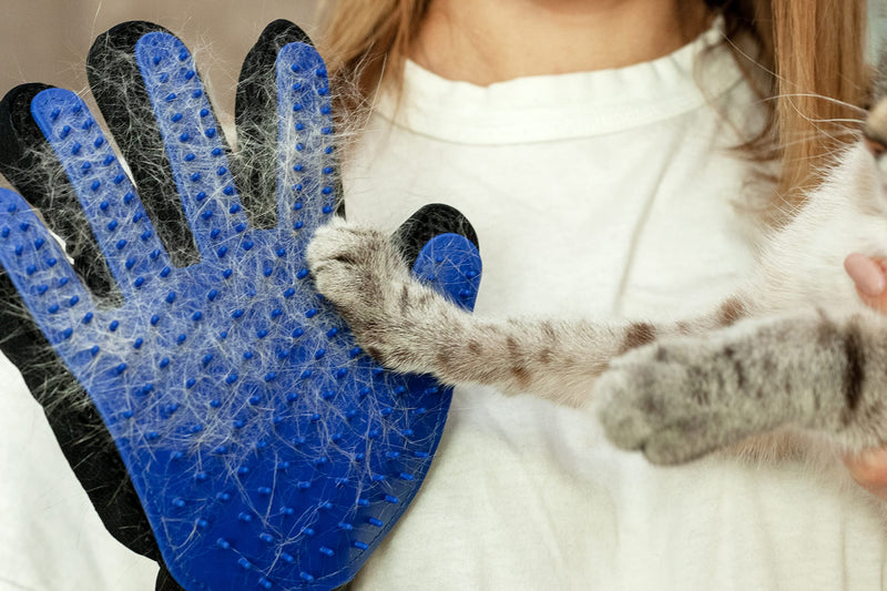 PAIR of Low-Cost Pet Grooming Gloves - Superior Care for Your Furry Friends. Ideal for Grooming, Deshedding, Bathing & Massaging Your Dogs & Cats with Long/Short/Curly Fur - Blue - PawsPlanet Australia