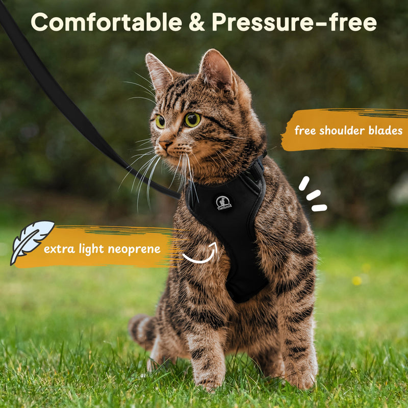 Cat Harness and Lead Set - Escape Proof Kitten Harness - Adjustable Cat Harness - Black, Size S S (18-29cm) (33-44cm) - PawsPlanet Australia