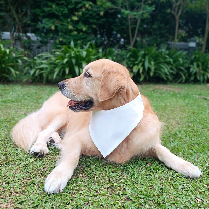 Green Classic Batik Collection Beautiful Pet Fashion Bandana with Plastic Snap Button - 1PCS Washable Bandana Double Reversible Scarf Accessories for Small to Large Dog Puppy Cat Rabbit Medium Green - PawsPlanet Australia