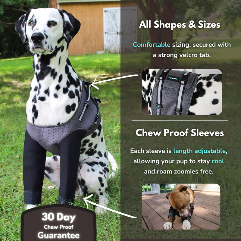 Dog Cone Alternative - Hot Spot Recovery Sleeves, Wound Protection & Hygroma Treatment for Dogs, Reduce Stress & Anxiety, Waterproof & Breathable, Prevent Licking, Ideal Post-Surgery Suit (XXL) XX-Large - PawsPlanet Australia