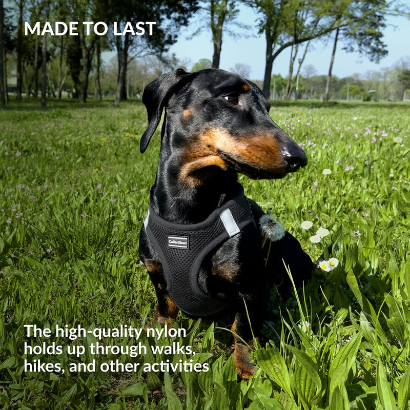 CollarDirect Step-in Reflective Dog Harness - Any Weather Air Mesh for Small and Medium Dogs Easy to Put On and Off (Size M, Black) - PawsPlanet Australia