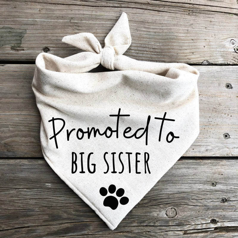 Dog Bandanas Baby Announcement Pregnancy Announcement Promoted to Big Sister Oatmeal Beige Minimal (Large) Large - PawsPlanet Australia