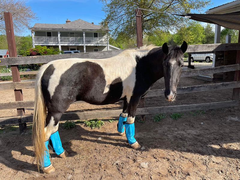 Horse Fly Boots, Fly Boots for Horses Set of 4, Breathable Mesh Horse Leggins Reduce Stomping & Foot Fatique Pet Supplies (4Pack/Blue) 4Pack-Blue