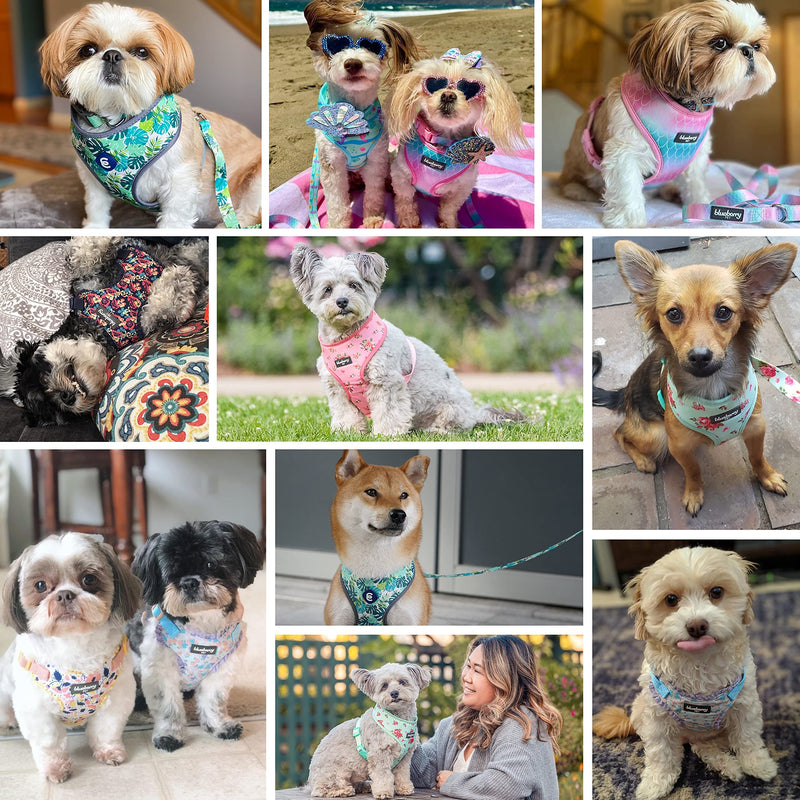 Blueberry Pet Floral Dog Vest Harness, Turquoise, X-Small | No Pull, Lightweight & Comfy Fit for Puppies and Small Breeds | Award-Winning Design for Girl Dogs - PawsPlanet Australia