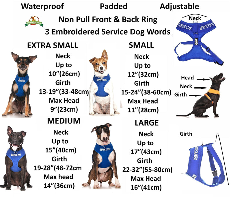 Dexil SERVICE DOG Blue Color Coded Non-Pull Front and Back D Ring Padded and Waterproof Vest Dog Harness PREVENTS Accidents By Warning Others Of Your Dog In Advance (Small, Blue) - PawsPlanet Australia