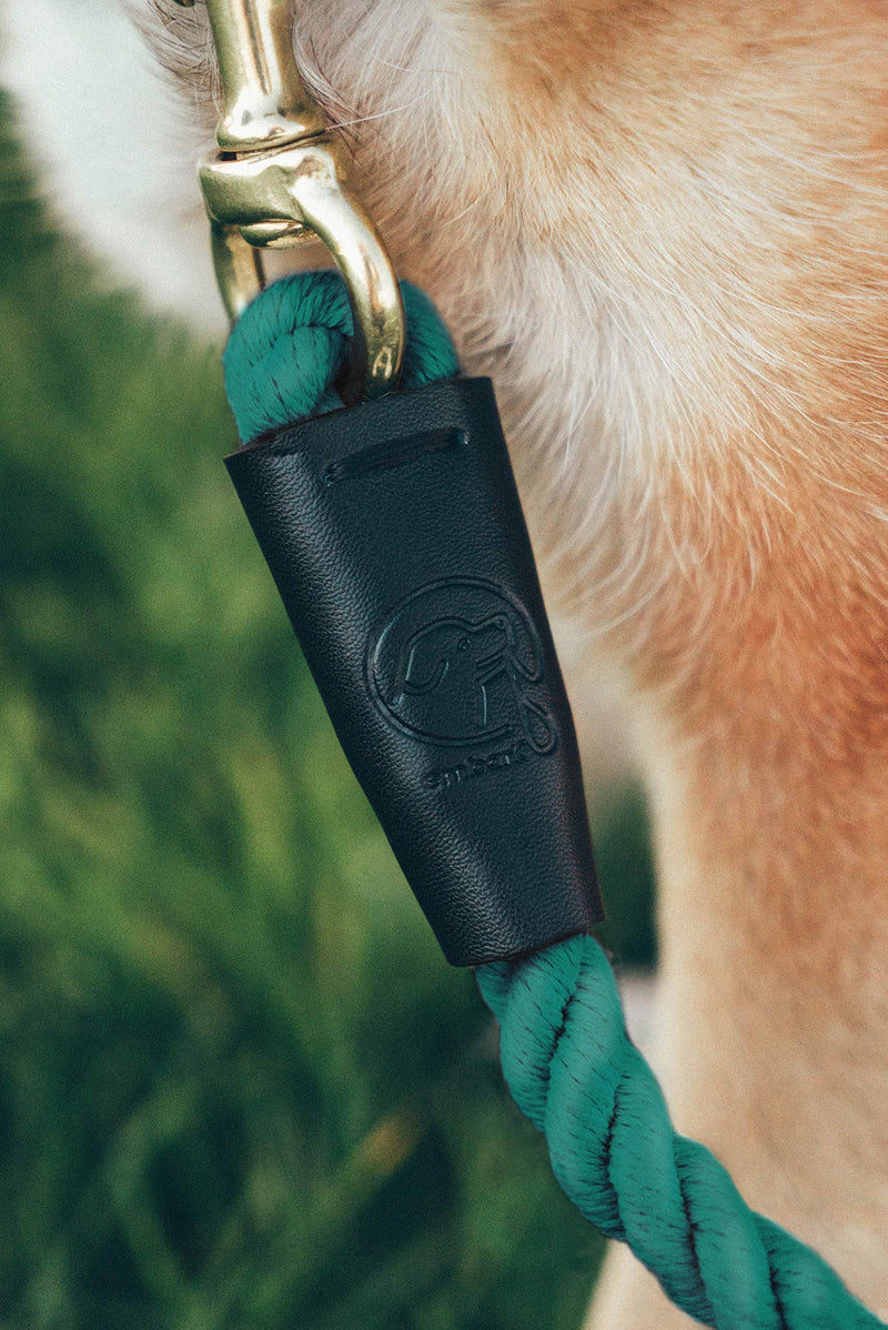 Embark Pets Country Dog Rope Leash – Braided Cotton Leashes w/ Strong Leather Finish for Small Medium and Large Breed Dogs – Heavy Duty for Training, Walking, Hiking Forest Green - PawsPlanet Australia