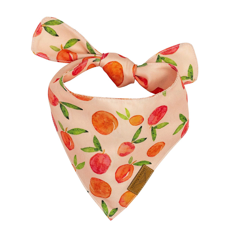 Remy+Roo Large Spring Dog Bandanas - 4 Pack Katherine Set | Premium Durable Adjustable Polyester Fabric Dog Scarfs | Patented Shape Girl Dog Bandana, Trendy Pattrens, Floral Dog Bandana - PawsPlanet Australia