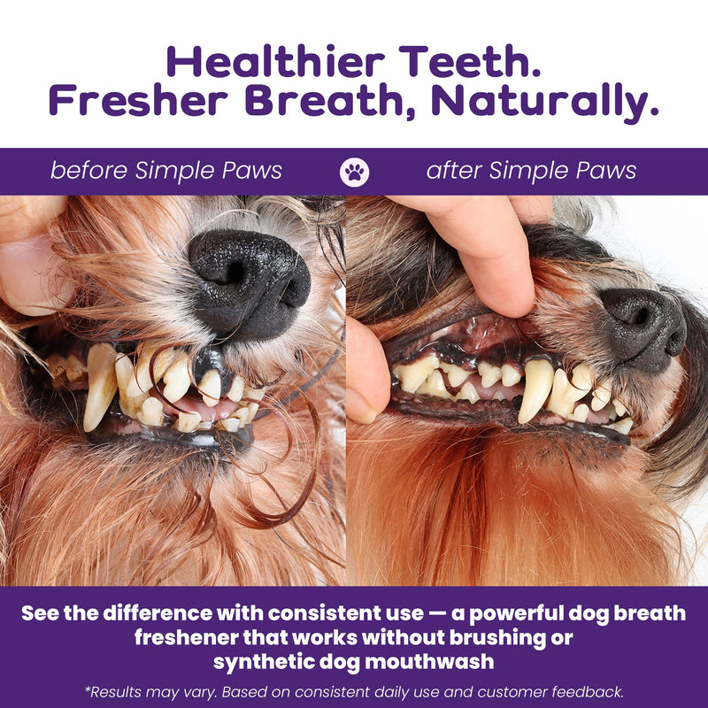 Dog Dental Powder for Teeth Cleaning - Dental Powder for Dogs Teeth – Dog Bad Breath Treatment with Probiotics for Fresh Breath & Oral Health – Chicken Flavored, 60 Scoop Supply - PawsPlanet Australia