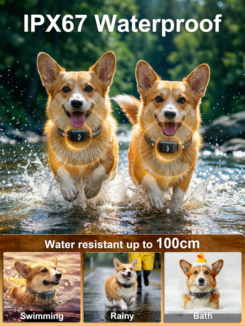 Small Shock Collar for 2 Small Dogs(5-30Lb), Dog Training Collar with Remote for Small & Medium Dogs, 3 Channels, Waterproof, Rechargeable, Collar with Beep, Vibration, Safe Shock,1300ft