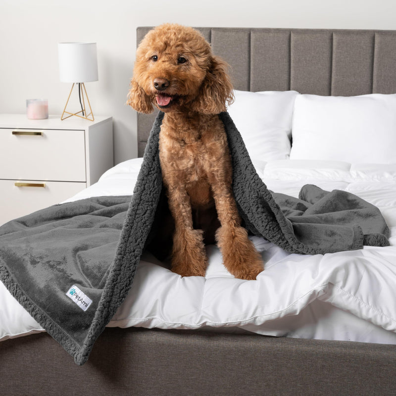 PetAmi Waterproof Dog Blanket for Medium Large Dog Puppy Cat Throw for Couch Cover Leakproof Protection, Sherpa Fleece, Reversible Soft Washable 60x40 Gray Gray Large 60 x 40 Inches Gray/Gray Sherpa - PawsPlanet Australia