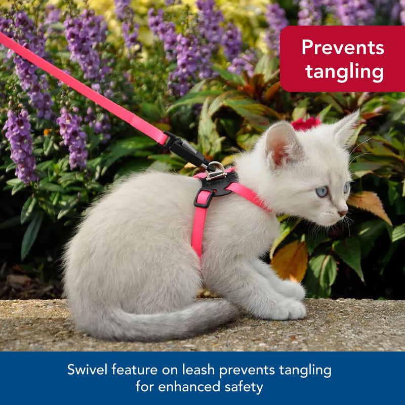 Coastal - Li’l Pals Adjustable Kitten Harness and Leash Combo - Pink and Purple Daisy Multi-Color - 3/8” x 6"-10” - PawsPlanet Australia