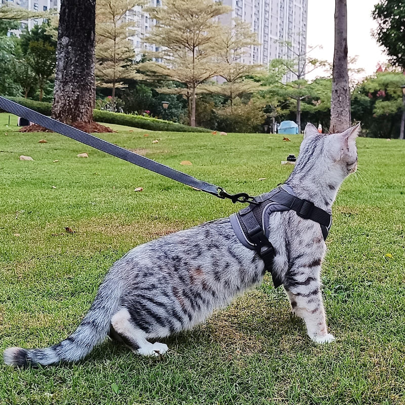 pangdi Cat Harness and Leash Set Escape Proof Tactical Large Kitten Harness Emotional Support Cat Vest, Grey, L 01 Grey - PawsPlanet Australia