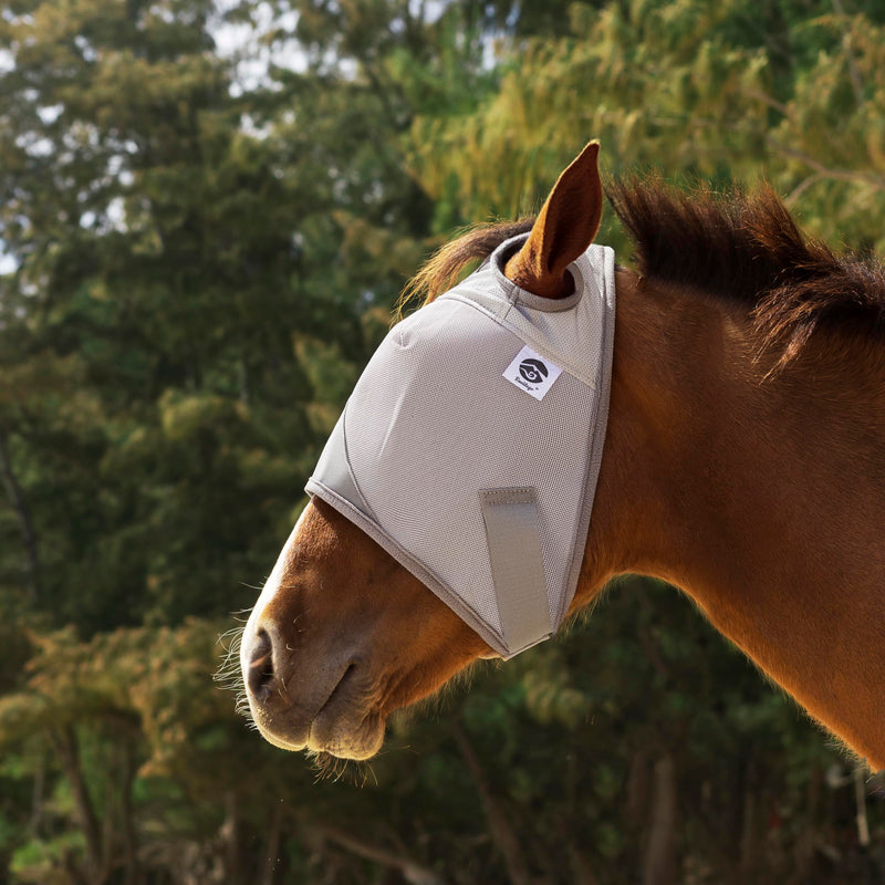 Horse Fly Mask, Adjustable Fly Masks for Horses Without Ears, UV Protection from Insect Pests Comfort Mesh Without Nose Average Size Horses Accessories (M) M - PawsPlanet Australia