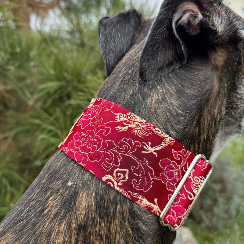 Extra Soft Martingale Dog Collar for Greyhound Saluki Whippet and Other Breeds with Similar Neck 2" Wide (L 14"-18") Burgundi Red L 14"-18" - PawsPlanet Australia