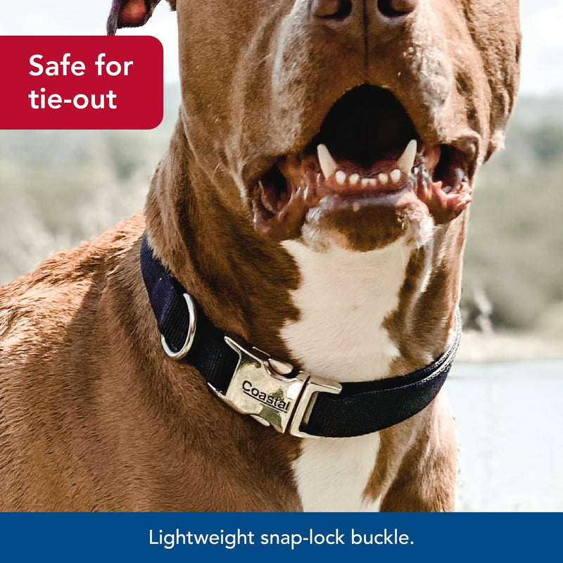 Coastal Pet Adjustable Dog Collar with Metal Buckle - Comfortable Fade-Resistant Dog Collar with Snap Lock - Perfect for Walking & Tie Outs - Blue Lagoon - 5/8" x 10"-14" 5/8" x 10" - 14" (Pack of 1)