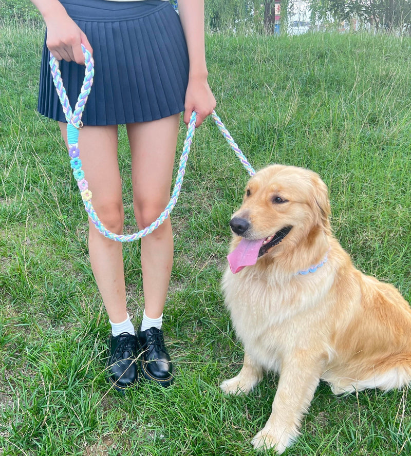 Handmade 5ft Braided Cotton Dog Leash with Unique Floral Handle, Durable and Stylish, Ideal for Small to Large Dogs, Rainbow Color - PawsPlanet Australia