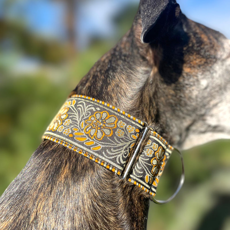 Martingale Dog Collar for Greyhound Saluki Whippet and Other Breeds with Similar Neck 2" Wide (L 14"-18") L 14"-18" - PawsPlanet Australia