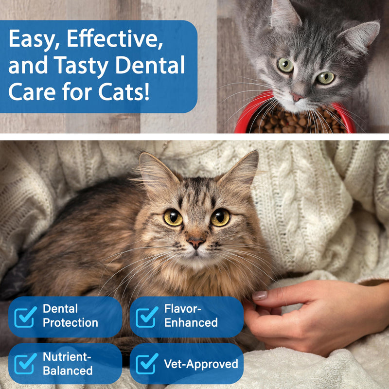 Cat Dental Care Powder Bad Breath Treatment for Cats Teeth, Mouth, Gums & Gut, Plaque Off,Tartar Control, Help Feline Gingivitis and Stomatitis, with Natural Extracts & Probiotics Cat Dental Powder - PawsPlanet Australia