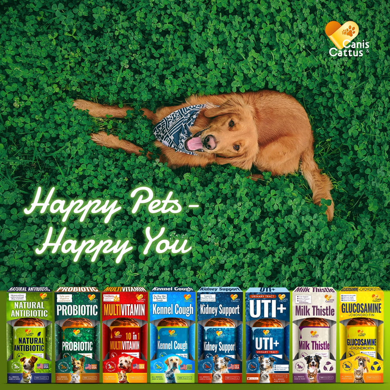 Antibiotics for Dogs | Cat Antibiotic | Pet Antibiotic | Natural Antibiotics for Cats | Dog Antibiotic | Natural Antibiotic for Dogs | Antibiotic for Cats | 2 Oz 1 Pack x 2 Oz - PawsPlanet Australia