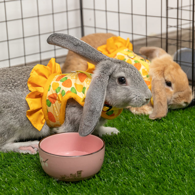 Rabbit Harness and Leash for Walking Escape Proof - Cute Carrot Pattern Mesh Breathable Bunny Vest Harness Outdoor Camping Hiking Training - Also Suit for Ferret Kitten Puppy Small Animals M (neck:6.3"-7.8" chest:7.8"-12.6") Yellow - PawsPlanet Australia