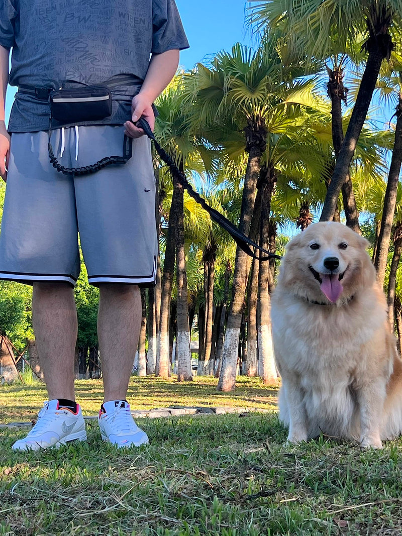 Hands Free Dog Leash with Zipper Pouch, Waist Dog Running Leash with Adjustable Waist Belt and Dual Handle, Reflective Bungee Hands Free Leash for Medium to Large Dogs (Black) Black - PawsPlanet Australia