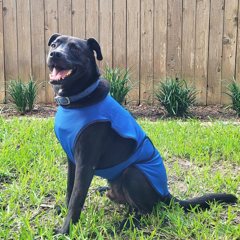 Dog Cooling Vest. Lightweight Jacket with Evaporative Cool Microfiber Technology, UV Protection Shirt for Beach, Sizing for Small, Medium and Large Dogs (XL, Dark Blue) X-Large