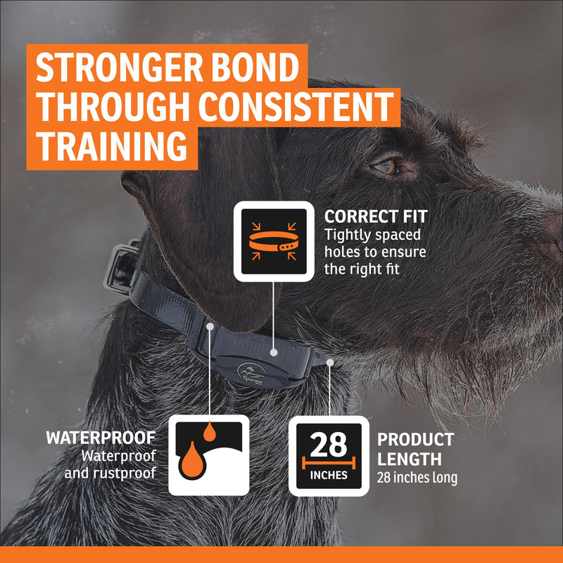 SportDOG 3/4-Inch Collar Strap - Waterproof Replacement Strap for Rugged Outdoor Use - Adjustable Collar with High Visibility - Reflective Blue 28 inches long, 3/4 inch wide (Pack of 1) - PawsPlanet Australia