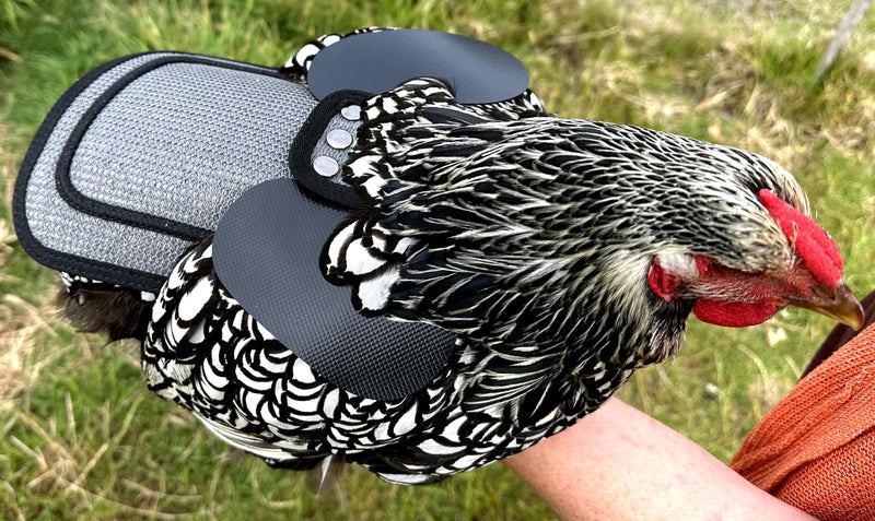 DOWN UNDER OUTDOORS Chicken Saddle with Adjustable Straps for Medium and Large Hens, Chicken Apron, Poultry Saver, Pet Supplies, Including Shoulder Cover (Grey Mesh) Grey Mesh - PawsPlanet Australia