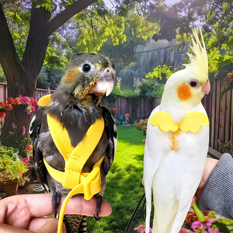 3 Sets Pet Parrot Bird Harness and Leash with Cute Wing, Adjustable Bird Flying Harness Straps Outdoor Training Traction Rope for Parrots Pigeons Lovebird Cockatiel(L,Pink, Yellow&Purple) Pink, Yellow&Purple L - PawsPlanet Australia