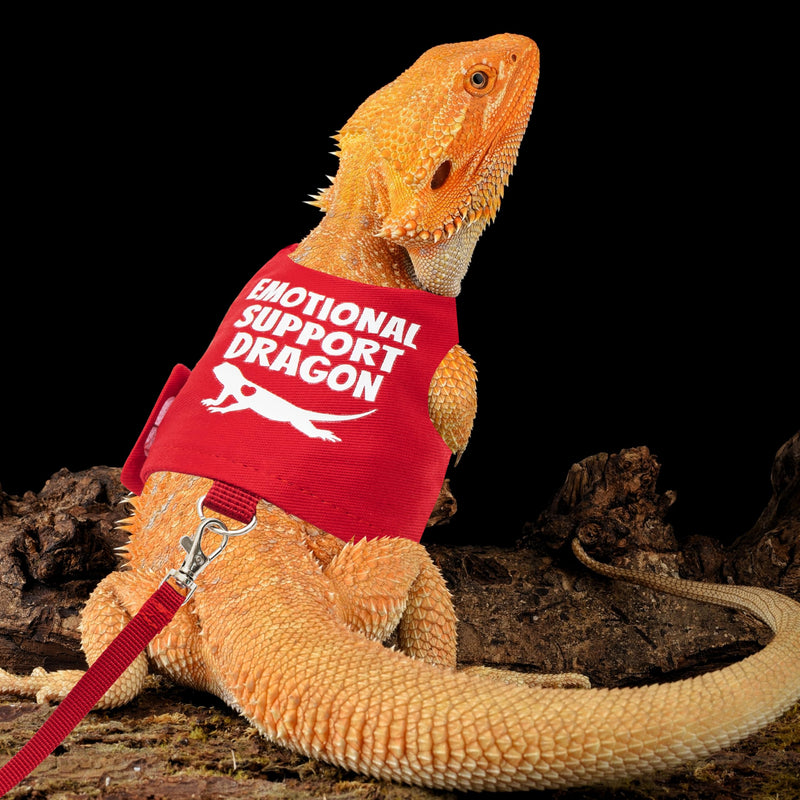 Bearded Dragon Harness and Leash Set - Escape Proof Adjustable Lizard Reptiles Harness with 5 ft Short Leash for Walking Outdoor Red - PawsPlanet Australia