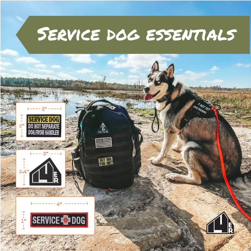 Service Dog Patches | Ask to Pet Service Dog in Training Patches for Vests, Collars and Harness (12-Pack) Regular Assorted - PawsPlanet Australia