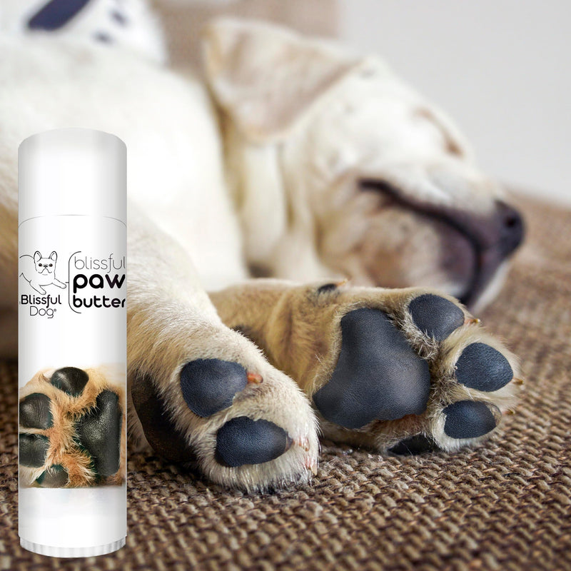 The Blissful Dog Paw Butter, Moisturizer for Dry Paw Pads, Softens and Protects a Rough Paw in Winter, Versatile, Lick-Safe Dog Paw Pad Balm, 0.50 oz. 0.50 Ounce - PawsPlanet Australia